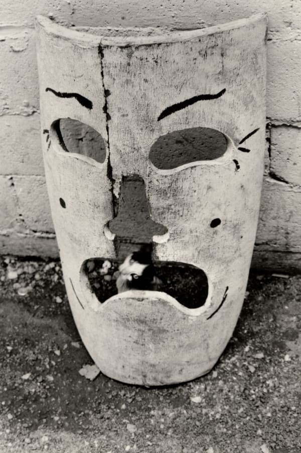 Shawn W. Walker Untitled, Cuba #6, 1968 Gelatin silver print mounted on board, printed c. 1968 7 x 4 7/8 in (17.78 x 12.2 cm) Mount: 11 x 7 in