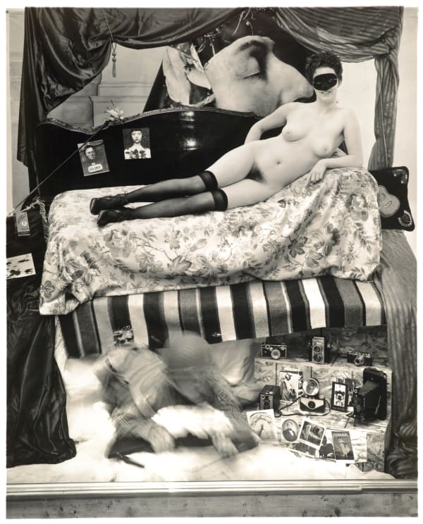 Fictional Storefronts- Camera Store Window