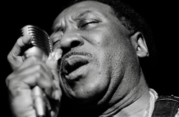 Muddy Waters