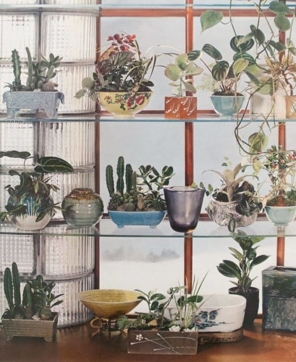 Paul Outerbridge, Window with Plants, 1937