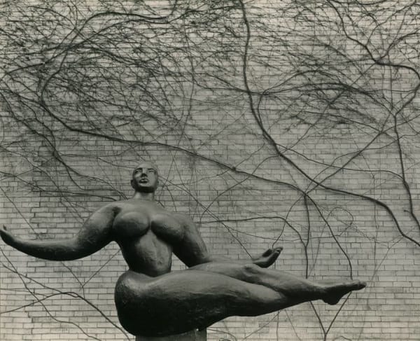 New York, MOMA Garden