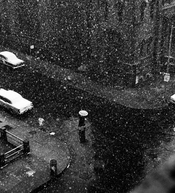 White Umbrella
