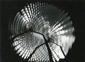 Interference Pattern on the Surface of a Pool of Mercury from Two Vibratory Sources, Switzerland