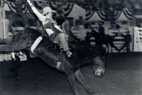 Untitled (Fort Worth Rodeo)
