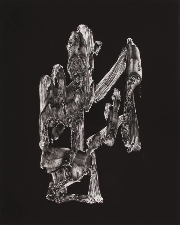 Frederick Sommer Untitled (Paint on Cellophane), 1957 Gelatin silver print, printed c. 1957-63 19 5/16 x 15 7/16 in (49.1 x 39.2 cm)