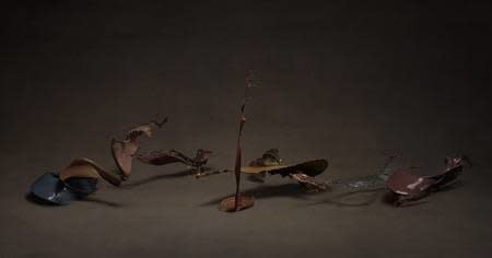 Shinichi Maruyama, Garden #11, 2010