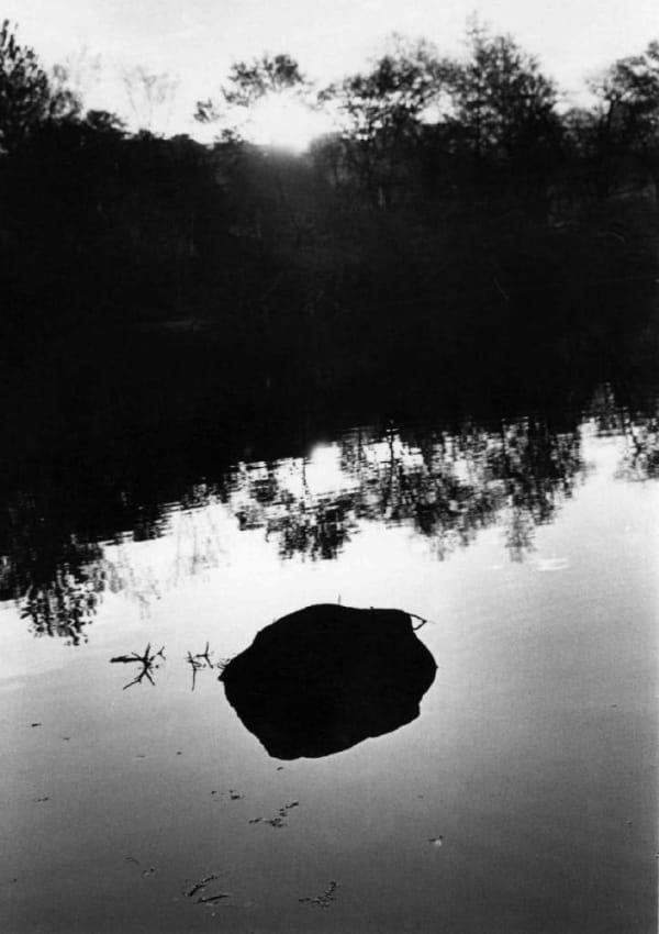 Dawn, Stacy Park, Trenton, New Jersey