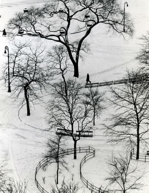 Washington Square Day