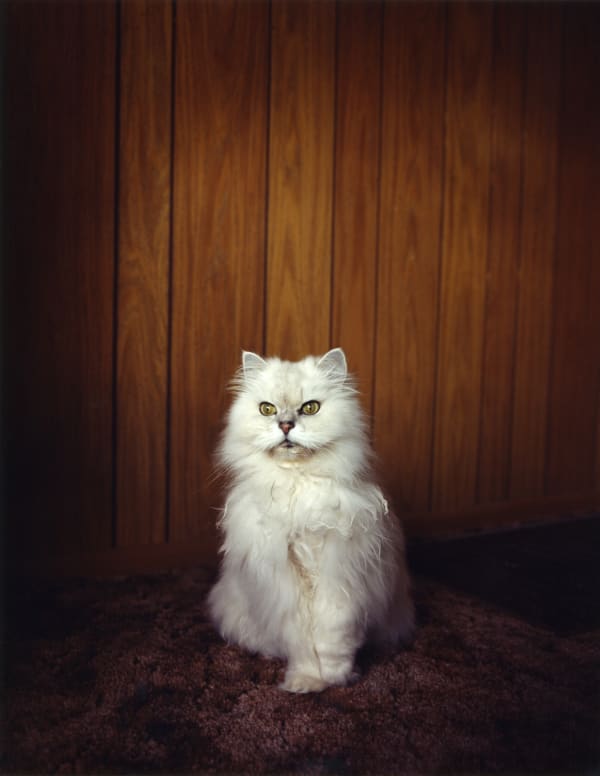 Todd Hido #1843, 1996 Chromogenic print 38 x 30 in. 96.52 x 76.2 x 0.0 cm