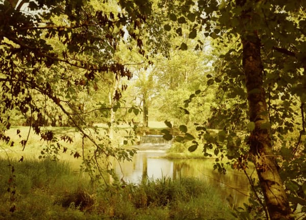 Elger Esser Cusy, 2018 Directprint on silver-coated copper plate 31 7/8 x 24 in (81 x 61 cm)