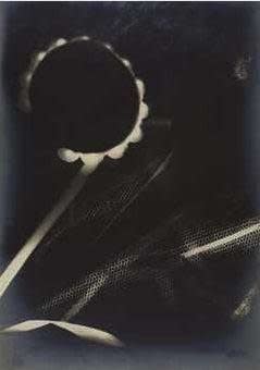 Man Ray, Untitled (Rayograph), 1942