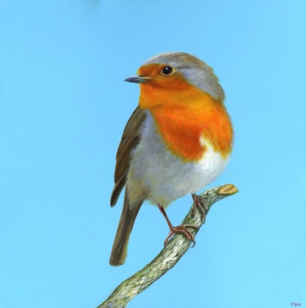 Elyo, Morning Song, 2025