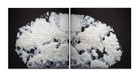 Carmen Vetter, Flow II, 2016