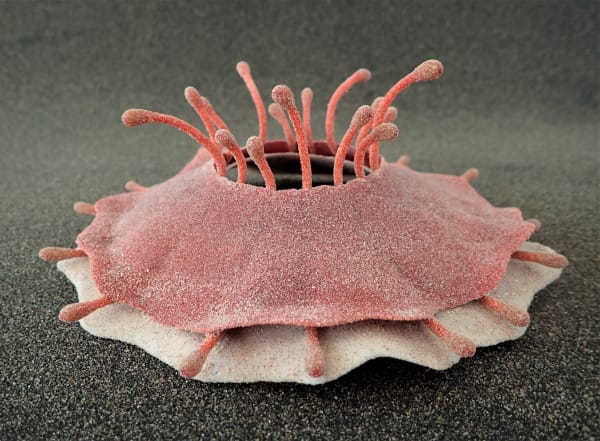 Karen Lise Krabbe - SWIM, SWIM, 2023