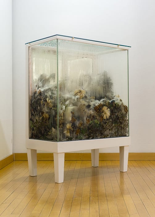 Kate Clements, Beloved, 2016 - ongoing