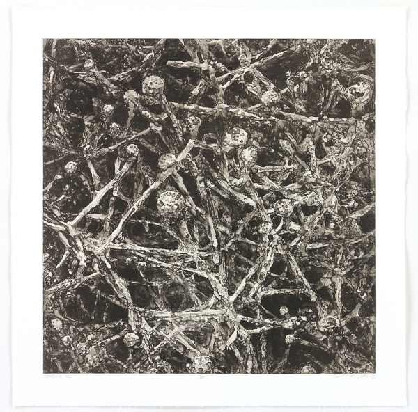 Carrie Ann Plank, Scintilla 2, 2015