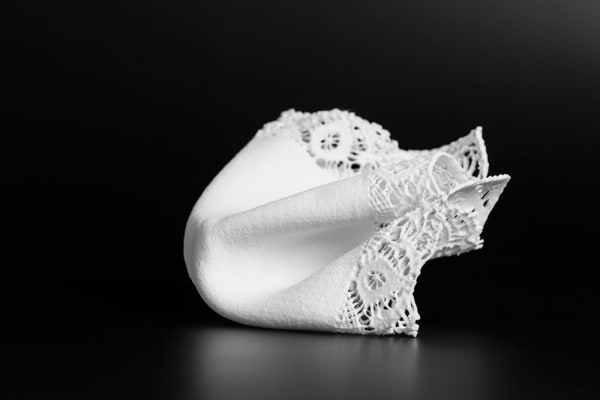 Nataliya Vladychko, Handkerchief, 2014