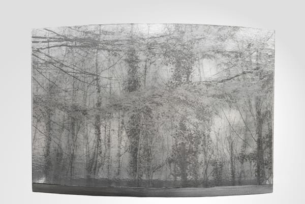 Evy Cohen, The Wood, 2016