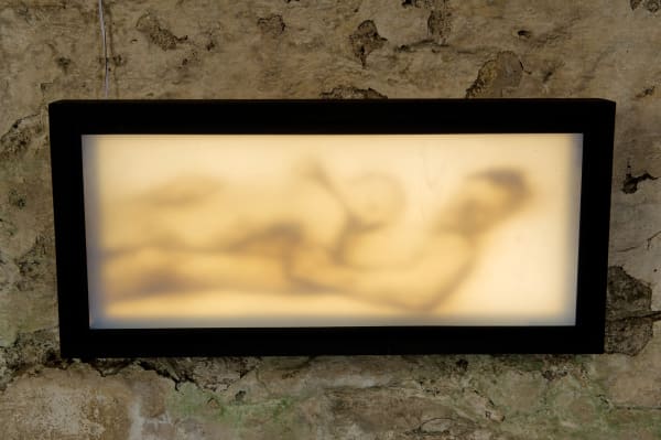 Jeff Zimmer, Shelter, 2019