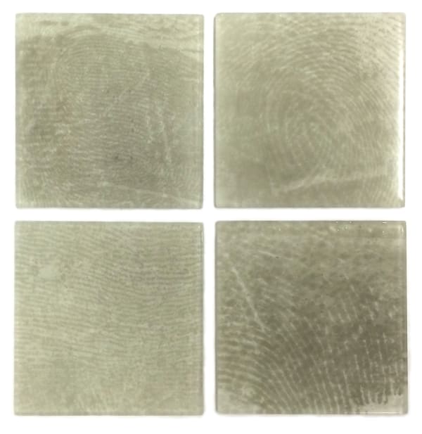 Carrie Ann Plank, Vestige (Small Skin Series), 2016