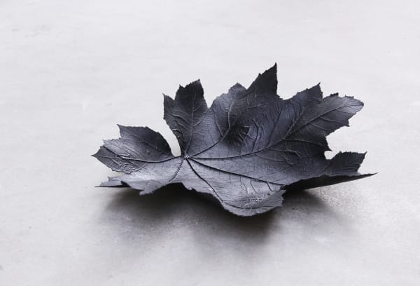 Anne Petters, Untitled, 2023