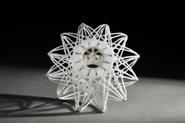 Tracy Nicholls - Aulisca XIII, 2022