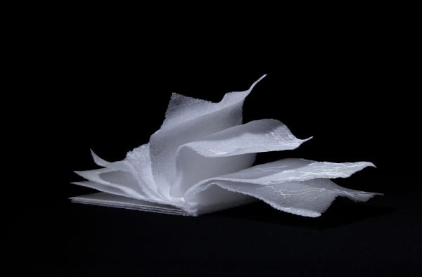 Anne Petters, White Drift, 2021