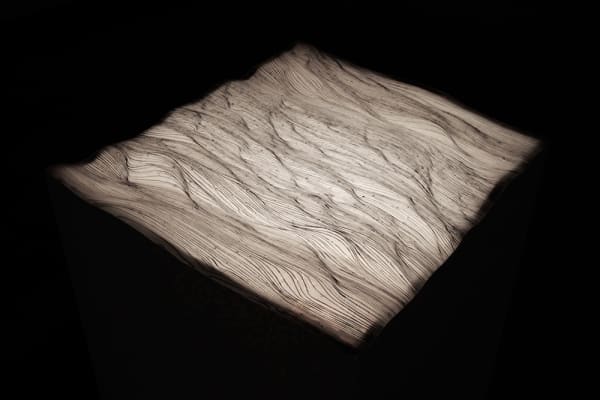 Josefina Muñoz, Water or Land, 2015