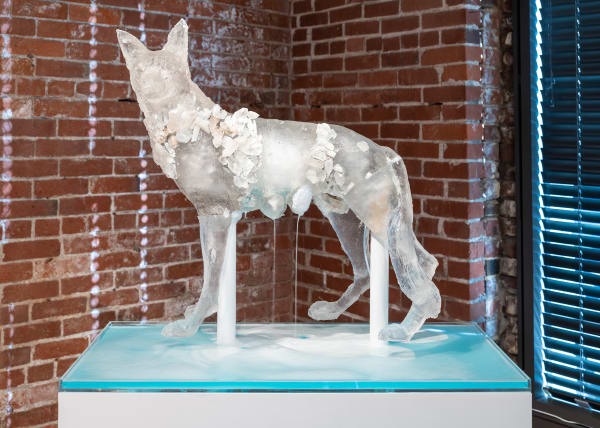 Emily Endo, She-Wolf, 2019