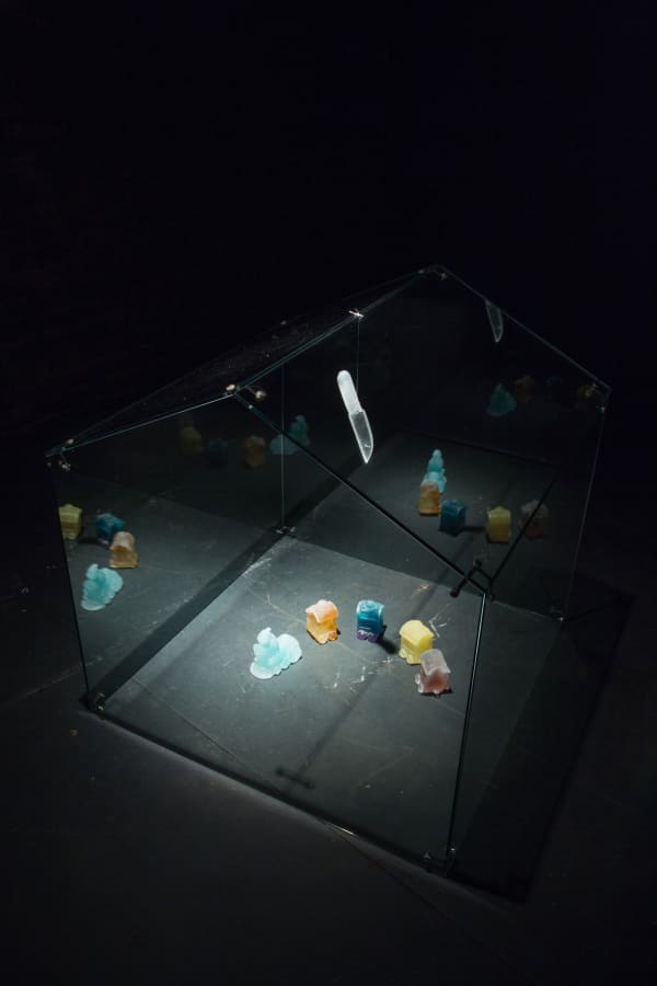 Silvia Levenson, Shelter, 2016