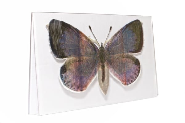 Jeffrey Sarmiento, Flitter, 2015