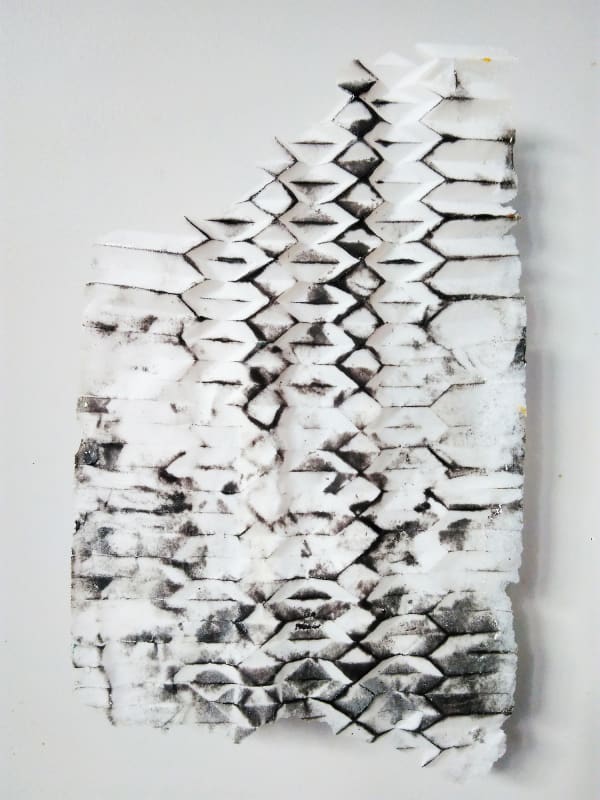 Nisha Bansil, Black and White Study, 2016