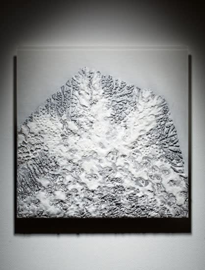 Carmen Vetter, Hover I, 2016