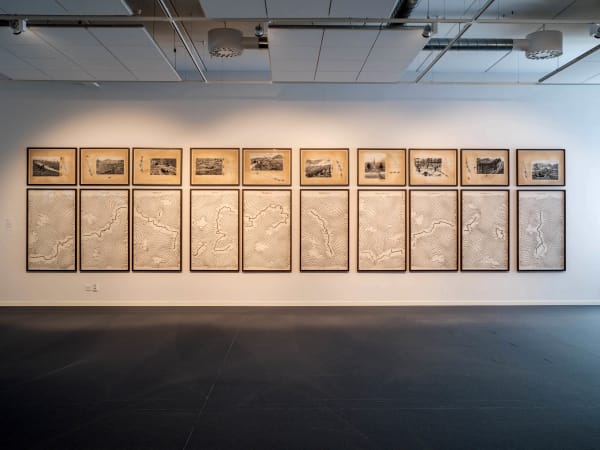 Reena Saini Kallat, Leaking Lines (Blue Line), 2019