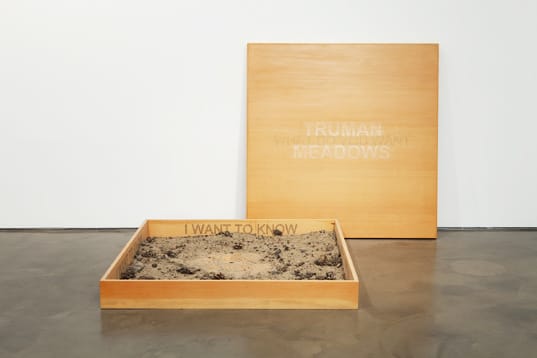 Robert Kinmont, Truman Meadows, 2009 - 2011