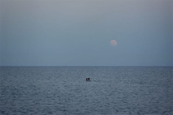 Daniel Gustav Cramer, Tales (Lady's Mile Beach, Akrotiri, Cyprus, August 2017), 2017