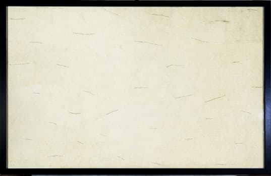 Hema Upadhyay, What are we?, 2013