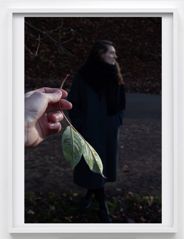 Paul Hutchinson, Johanna, branches, 2021