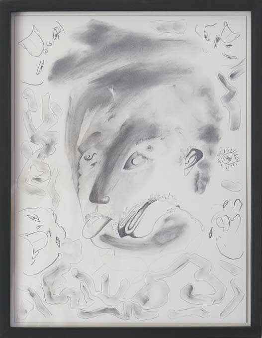 Dennis Scholl, Gefährdete Natur / Meine fünf Brüder / Kiwi / Kord / Sohn von Phoibos / Bläschen / Portrait, 2008