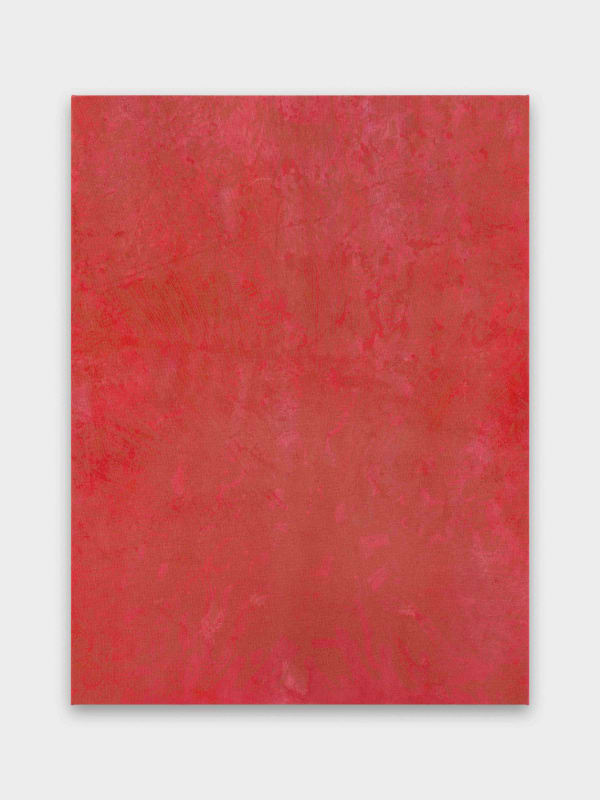 Mitchell Anderson, Natural Consequences, 2022