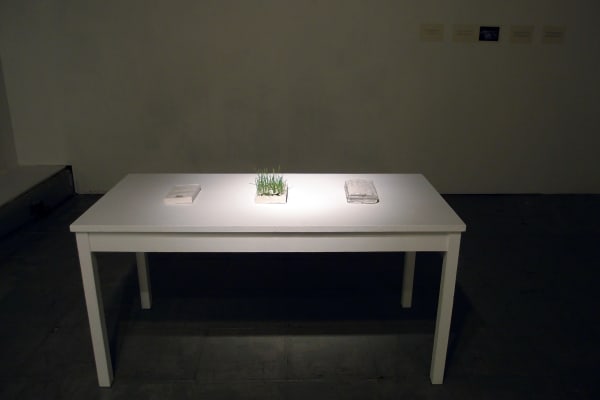 Annie Lai Kuen Wan, Trilogy of a Book: Fragile Book, Organic Book, Fossil Book, 2013