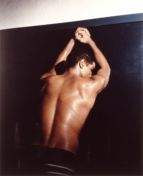 Collier Schorr, Allogenes, 2003