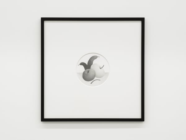 Nicolas Party, Still Life, 2013