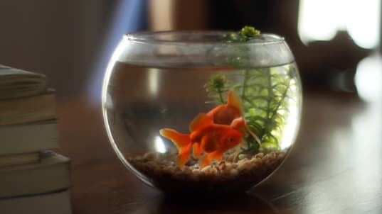 Alejandro Cesarco, Methodology, 2011, 2011