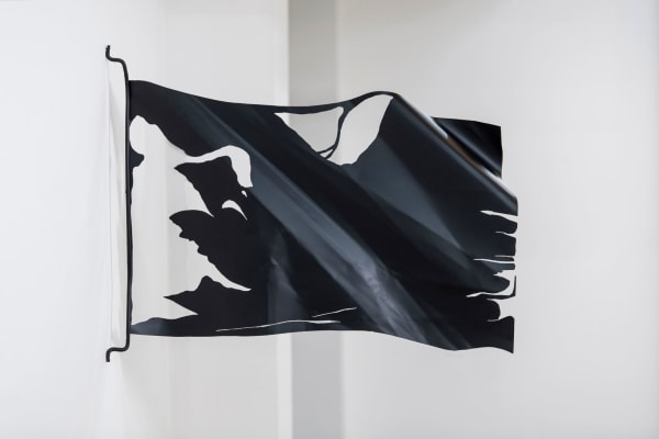 Ayesha Singh, Flag (Torn), 2020