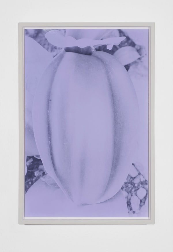 Anouk Meret Tschanz, Blatt 2020, aus der Werkgruppe Blätt, 2020