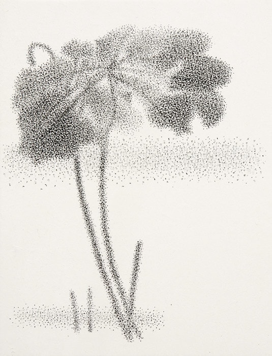 Seung Ho Yoo, Plush, Plush, 2005