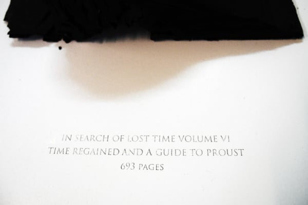 Annie Lai Kuen Wan, Time Regained, 2013