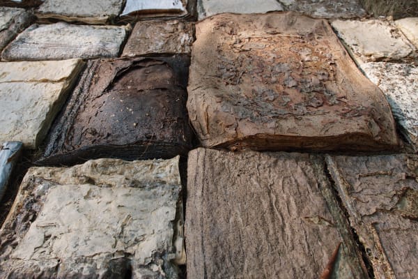 Annie Lai Kuen Wan, Infinitve Horizon / Ruin, 2013