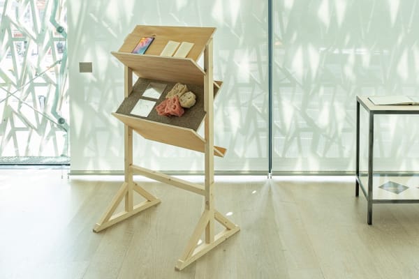 Aslı Özdoyuran, Bitki uykusu hakkında konuşacaksam canlılıktan söz etmeyi veya bir zaman kipi yaratmayı yeğlerim / I would rather speak of liveness or construct a tense to talk about plant sleep, 2022